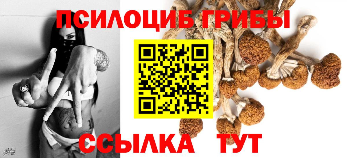 Галлюциногенные грибы Psilocybe Троицк