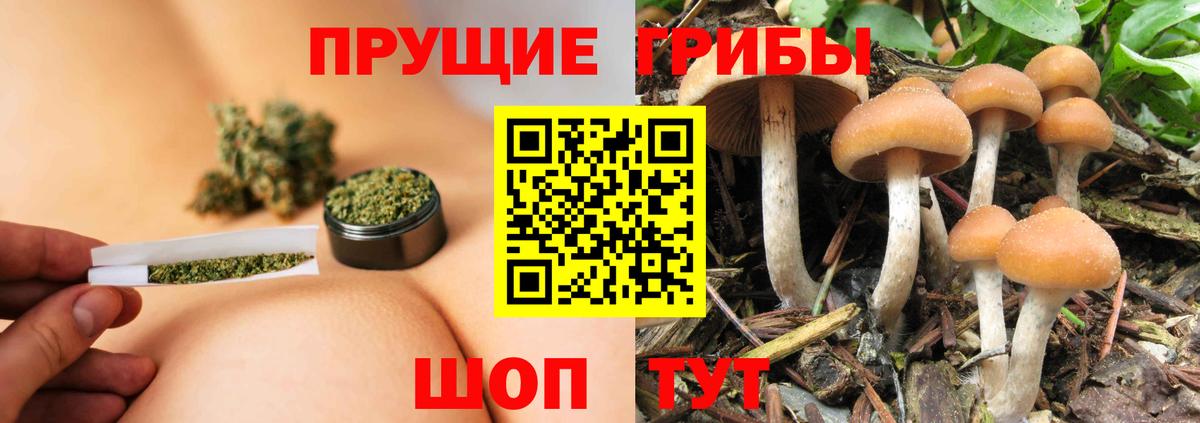 закладка  Галлюциногенные грибы MAGIC MUSHROOMS  Вход с VPN  Троицк 